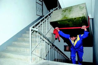 商丘家政服務 專業(yè)與便捷，提升家庭生活品質